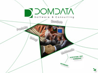 <span>DomData </span>- Software & Consulting